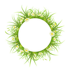 Round frame with green grass and daisies on white background