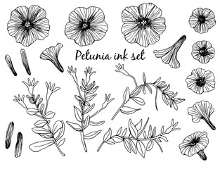 Petunia set