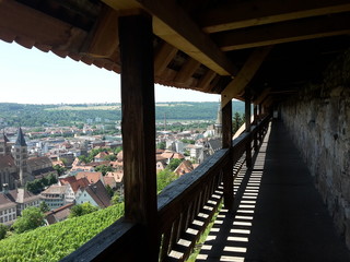 Fototapeta na wymiar Burg Esslingen