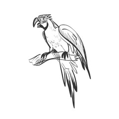 Naklejka premium doodle parrot
