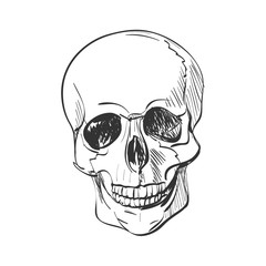 doodle skull