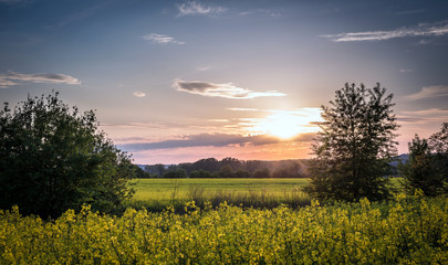 Obraz premium Country landscape