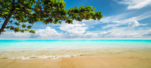 Obraz na płótnie Canvas Lagoon. Tropical resort panorama
