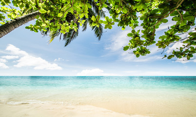 Tropical beach seascape