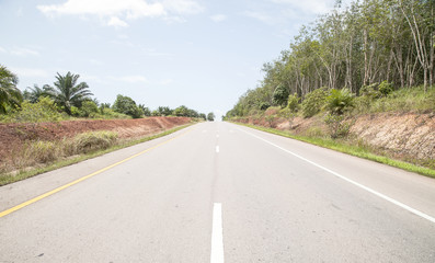 asphalt road through the green tree and clouds on blue sky