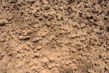Dry soil closeup before rain