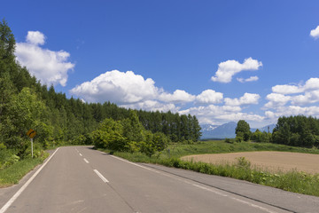 丘の町美瑛の田園風景