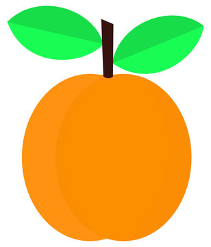 Apricot icon isolated