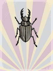 vintage background with motive of summer