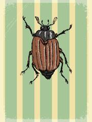 vintage background with motive of summer