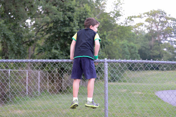 Looking over the fence