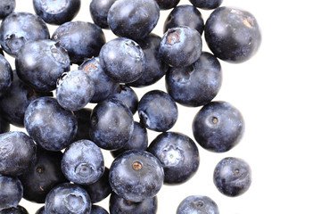 blueberries isolated