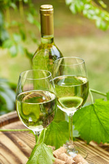 Garden with white wine and bottles