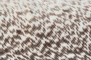 Fibers