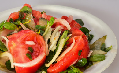 semizotu salatası