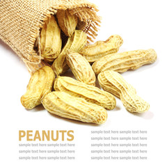 Dried peanuts isolated on white background
