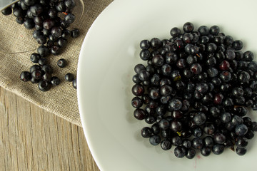 Dish with blueberry top view