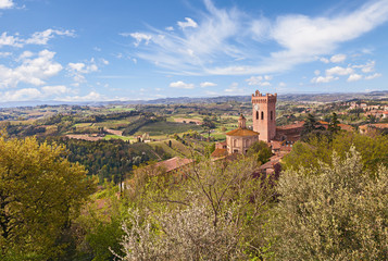 Fototapeta na wymiar view of San Miniato, Pisa, Italy