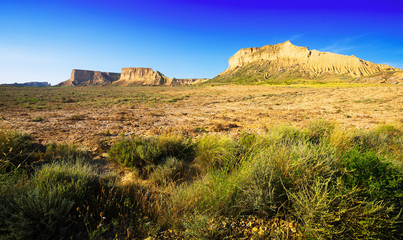 desert landscape of Navarra in summer