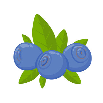 Blueberry simple cartoon style vector illustration.
