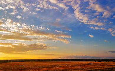 field at sunset