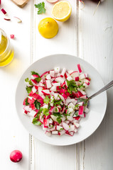 Radish Spring salad with herbs