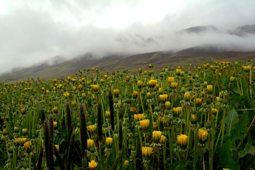 mleczne niebo © stay_crazy