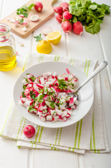 Radish Spring salad with herbs