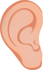 The Ear