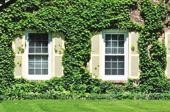 Windows with Shutters