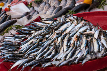 Frische Fische auf Markt