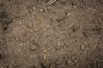 Soil texture background