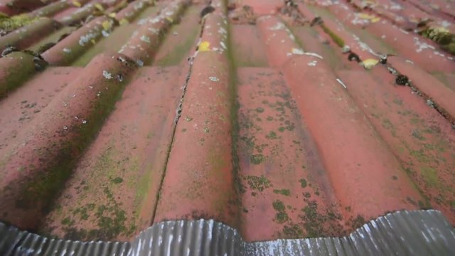 Dachreinigung, Dachpfannen, Moos, Verunreinigung,Dach, D&auml;cher, Hausdach,