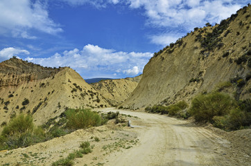 Road in desert landscape