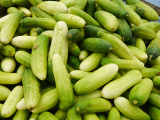 Cucuber