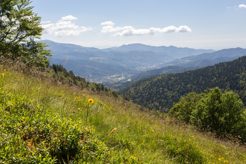 Vallée et sommet des Vosges