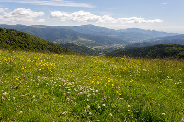 Vall&eacute;e et sommet des Vosges