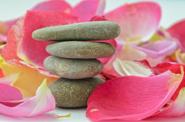 Stacked spa stones with rose petals and green nature.