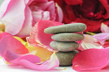 Stacked spa stones with rose petals and green nature.
