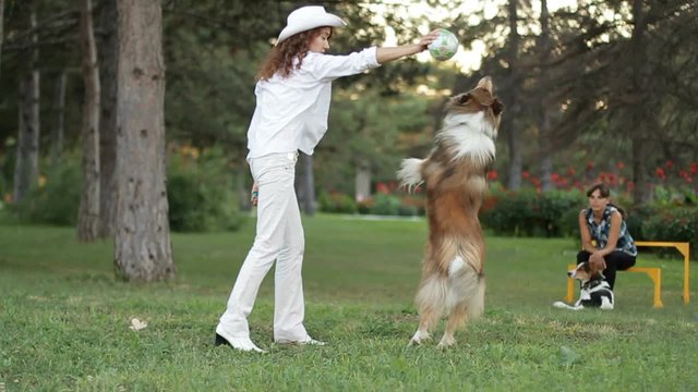 The girl gives a dog team.