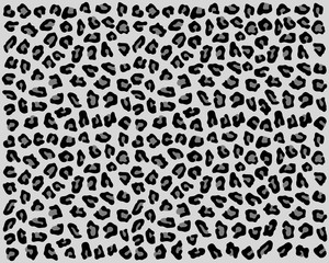 Seamless pattern of skin of leopard, vector illustration