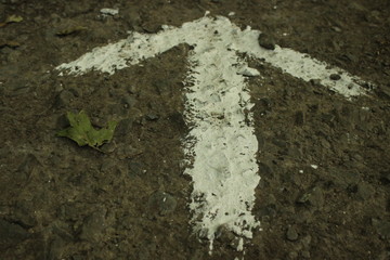 Wegweiser Pfeil auf Boden