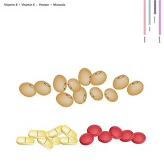 Soybean with Vitamin B, K Protein and Minerals