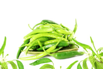 fresh green chili pepper on pure white background
