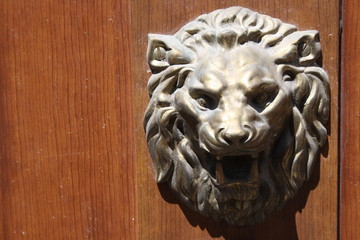 Door with Lion, art in the street