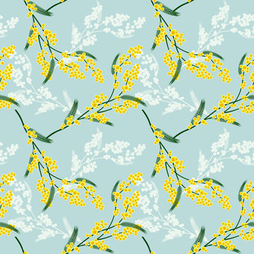 Seamless pattern with mimosa