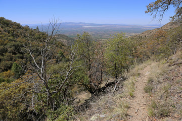 The view from high up in Madera Canyon, in the Santa Rita Mountains, located in Arizona, United States..