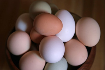 A bowl full of freshly laid eggs..