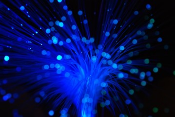 optic fiber