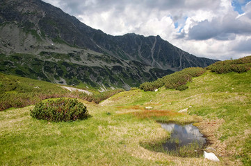Fototapeta na wymiar Mountain view in Tatras on a bright day 
